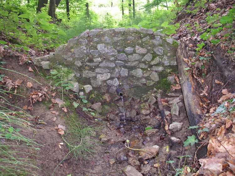 odon-forras