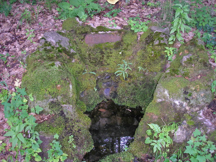 odon-kut