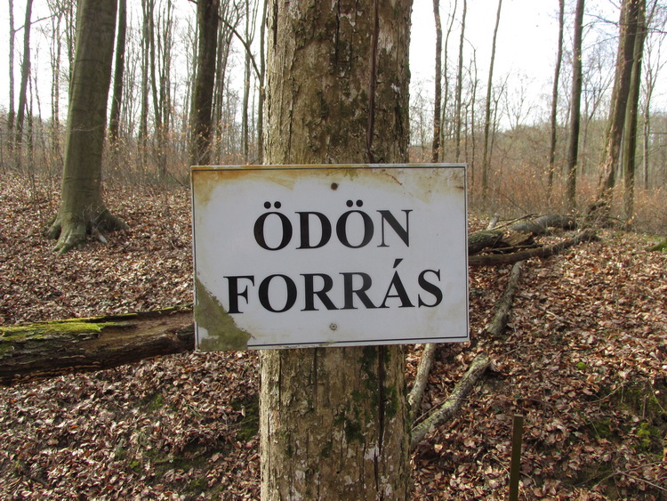 odon forras2