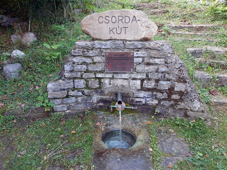 orfui csorgo csorda kut