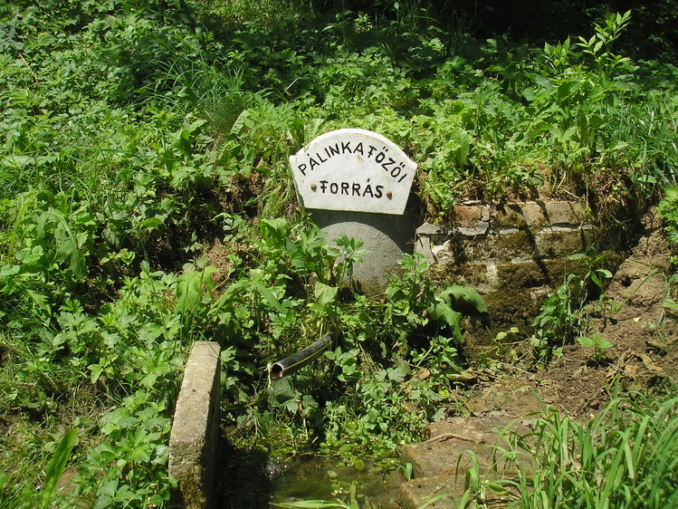 palinkafozoi-forras