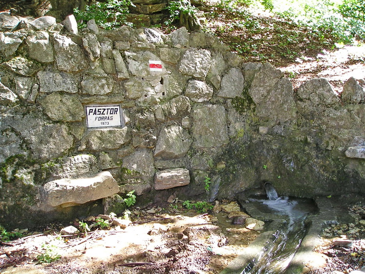 pasztor-forras