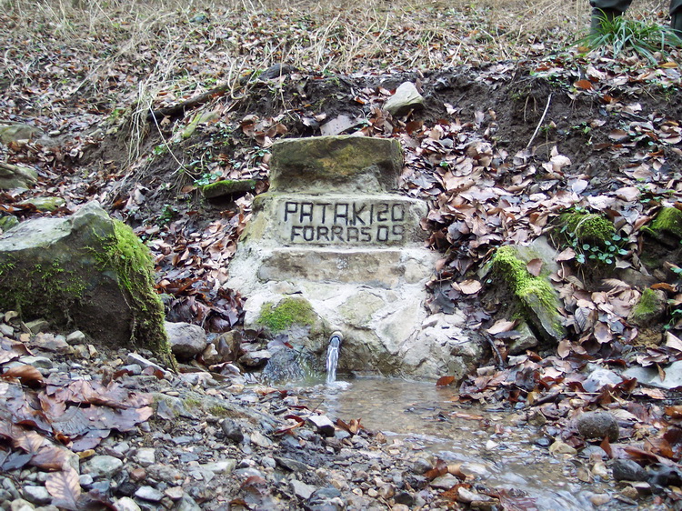 pataki-forras