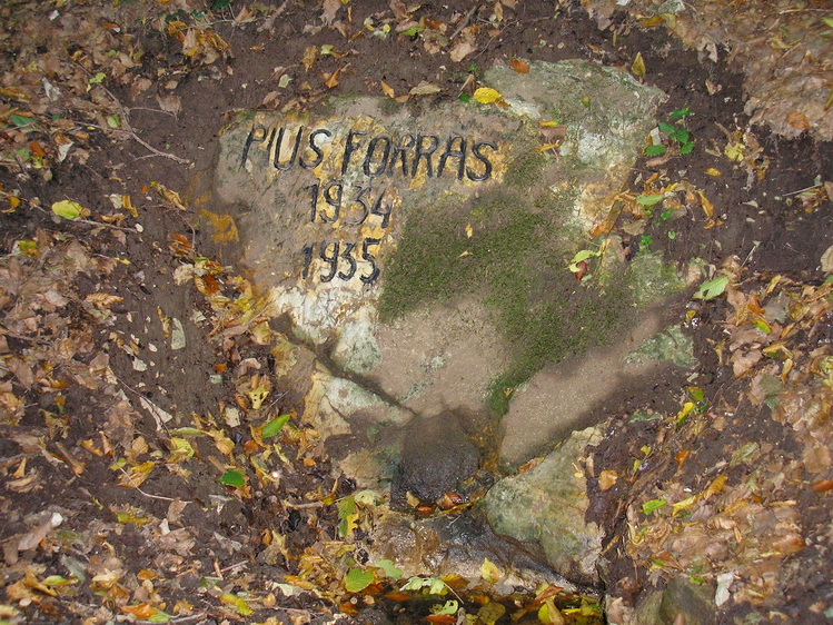 pius-forras