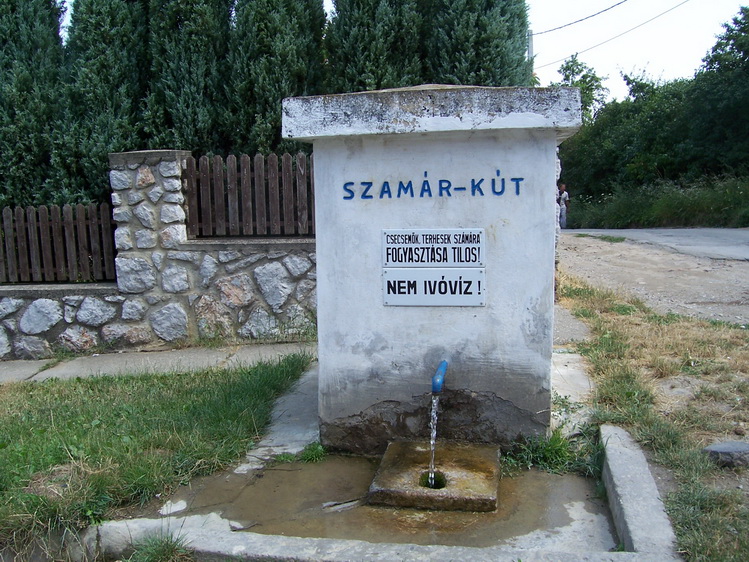 szamar-kut