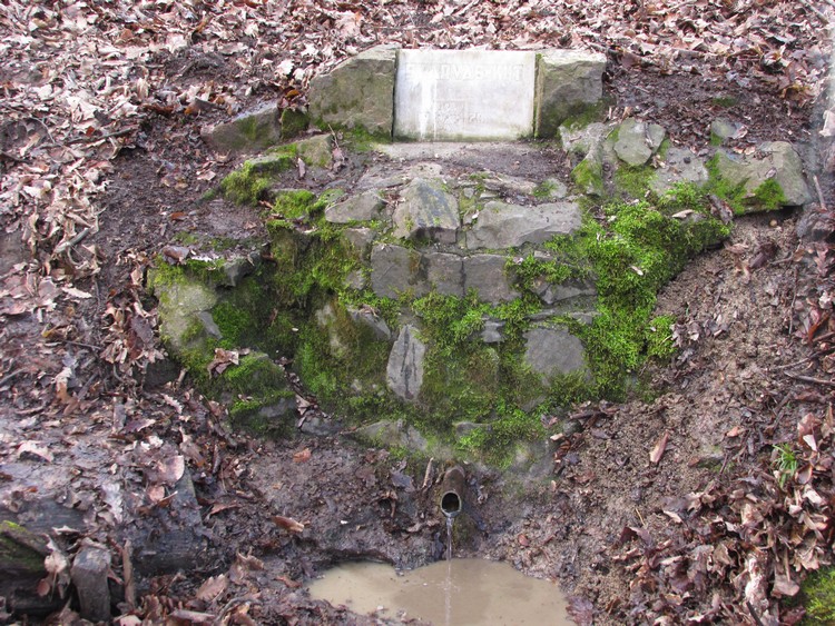 szarvas kutszalka