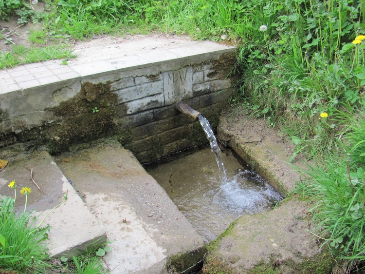 szaszvolgyi forras