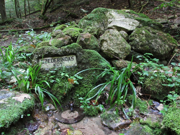 szederindas kut2