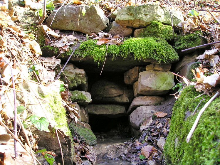 szikla-forras