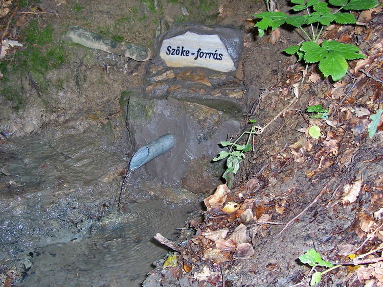 szoke-forras