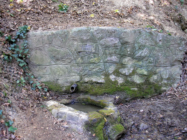 szunyog-forras