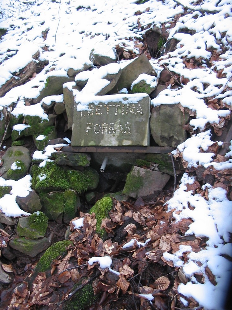 t bettina forrás