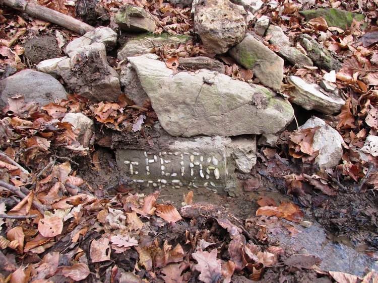 t petra forras