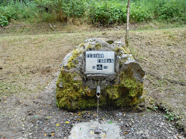 tertoro forras2