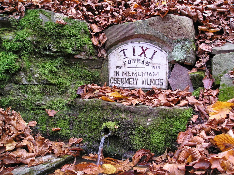 tixi-forras
