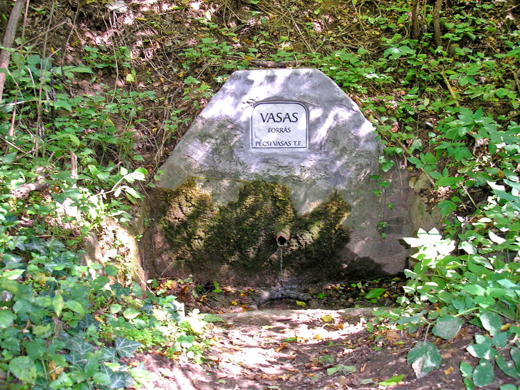 vasas-forras