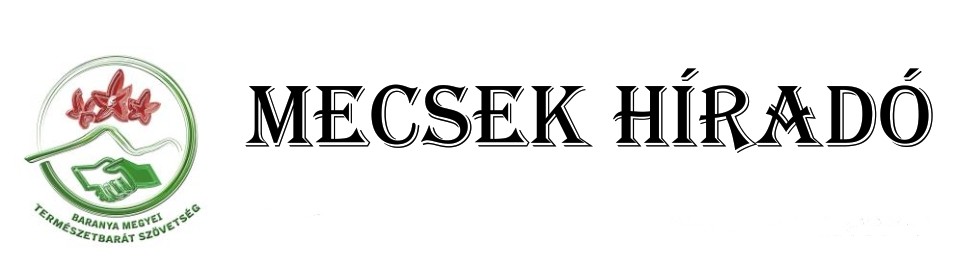 mecsek hirado fejlec