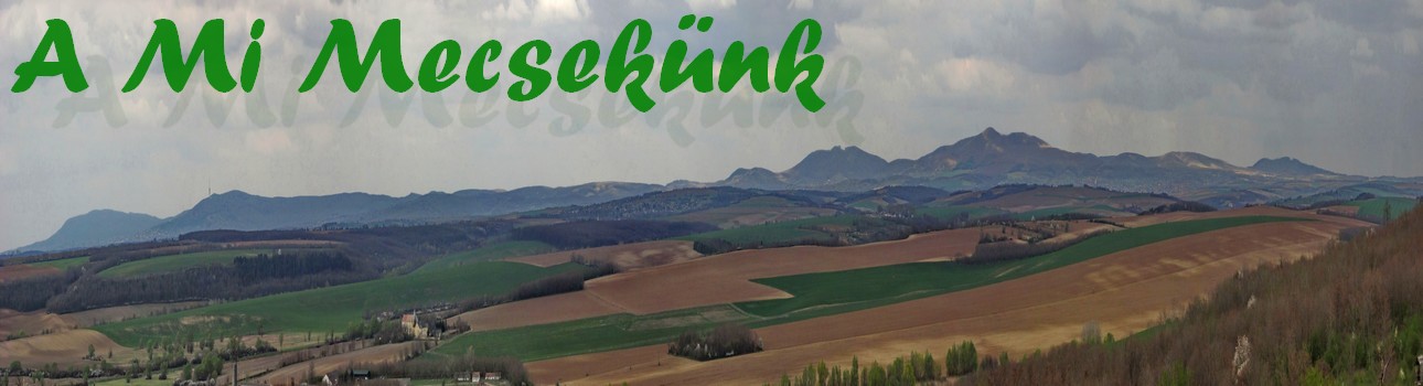 bemutatkozunk