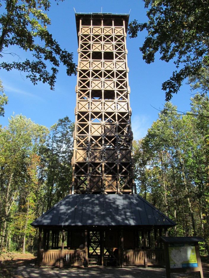 hollofeszek
