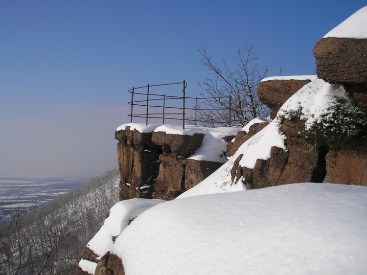 zsongorko2