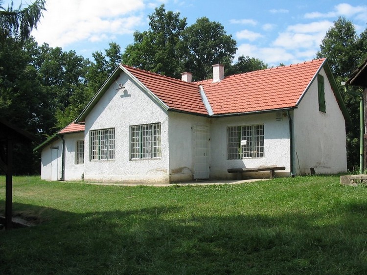 vorosfenyo kulcsoshaz