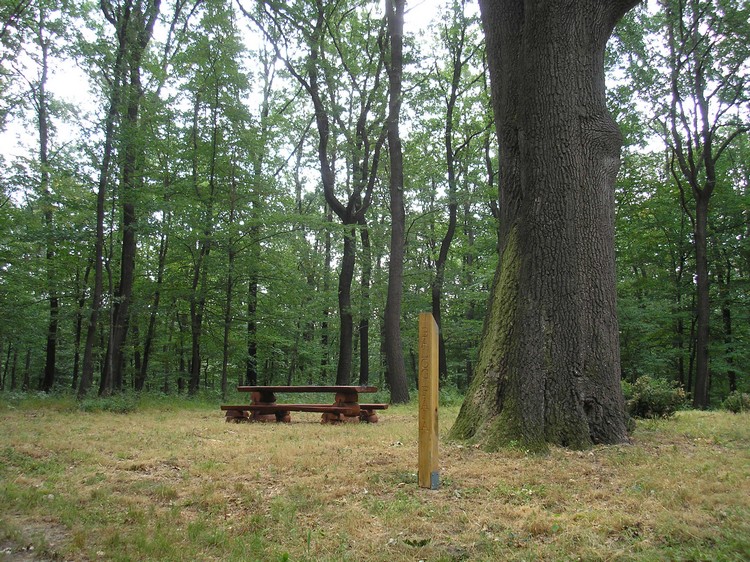 balog faja