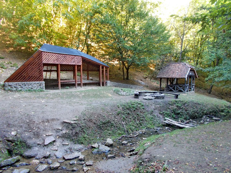 bodzas piheno