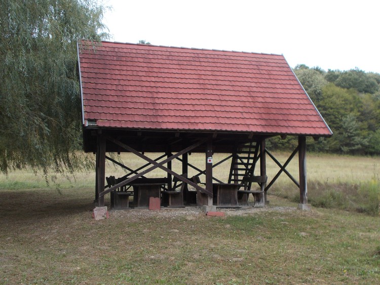 jamborka forras pihenoje2