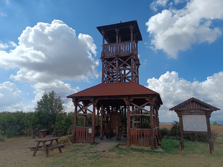 kisgeresdi piheno