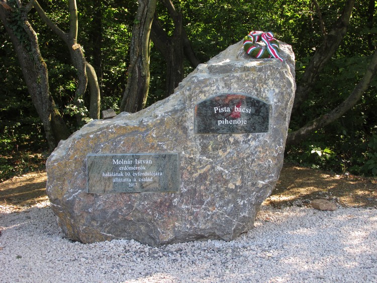 pista bacsi pihenoje