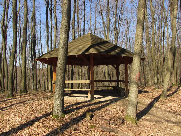 rekavar piheno